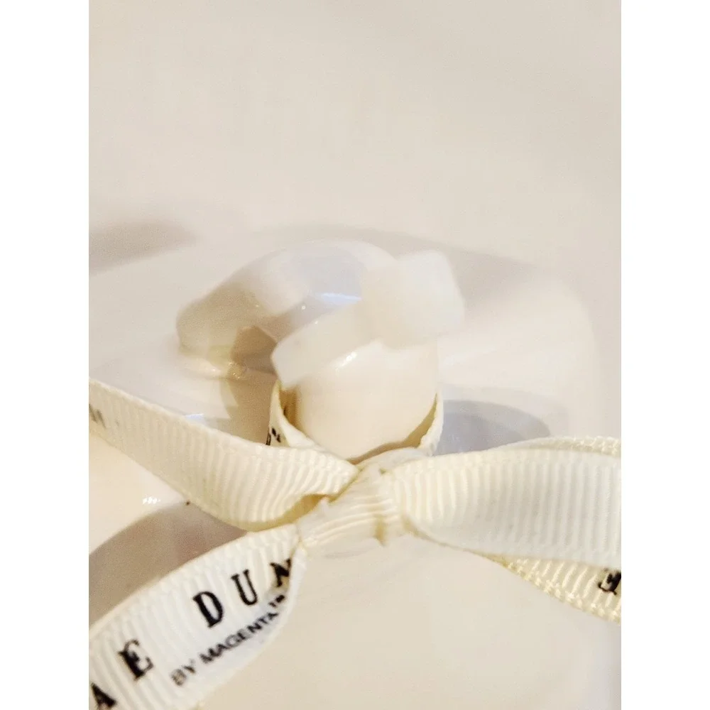 Rae Dunn Ceramic Salt Crock Cellar Salt Saut Pig